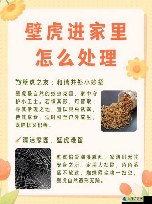 Rime动物的作用及吸引方法